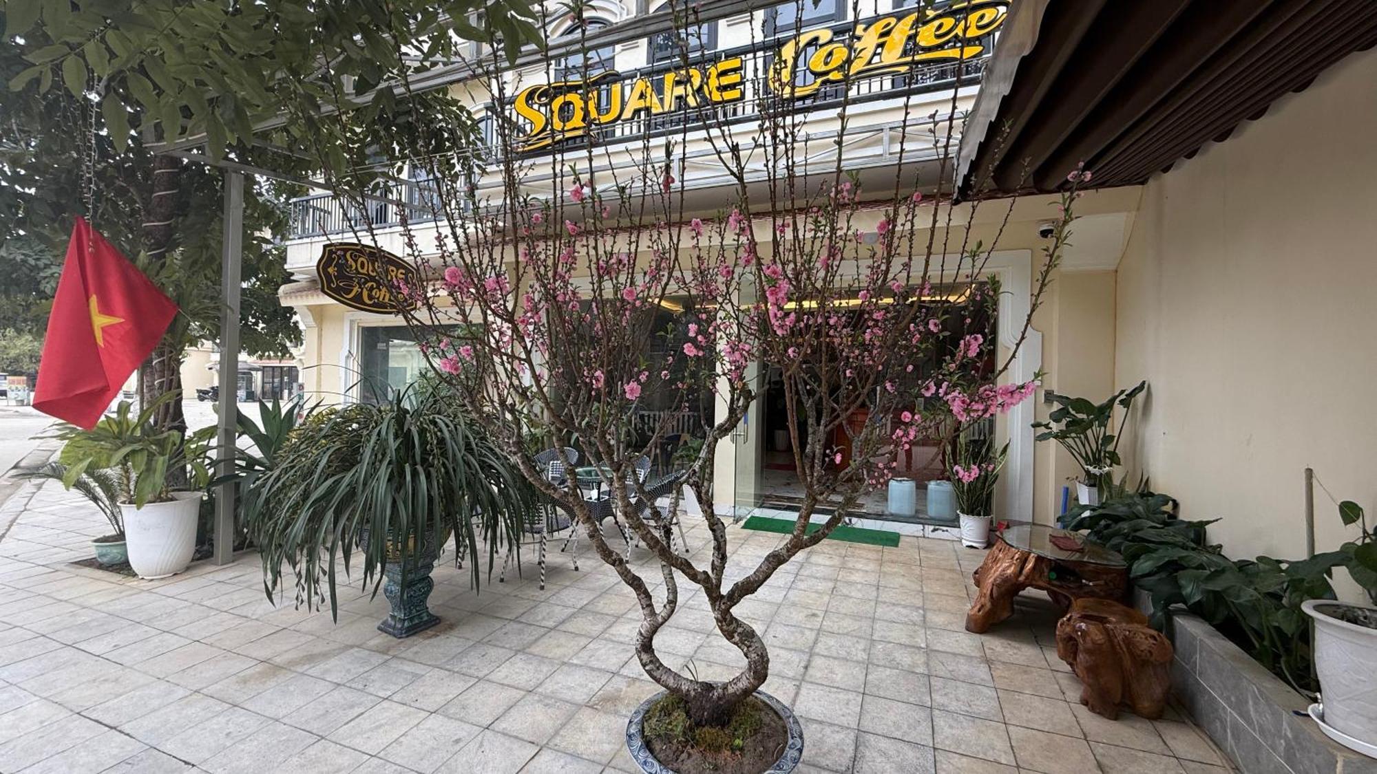 Square Homestay & Coffee 北河县 外观 照片